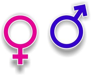 Gender Male Female