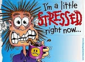 stress per
